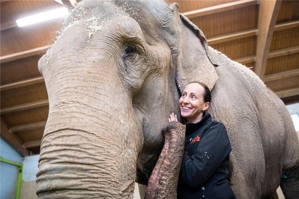 Jana-Mandana Lacey-Krone, Direktorin des Circus Krone, streichelt im Elefantenhaus auf dem Gelände des Circus Krone die indische Elefantenkuh Bara. (Archivbild)Matthias Balk/dpa