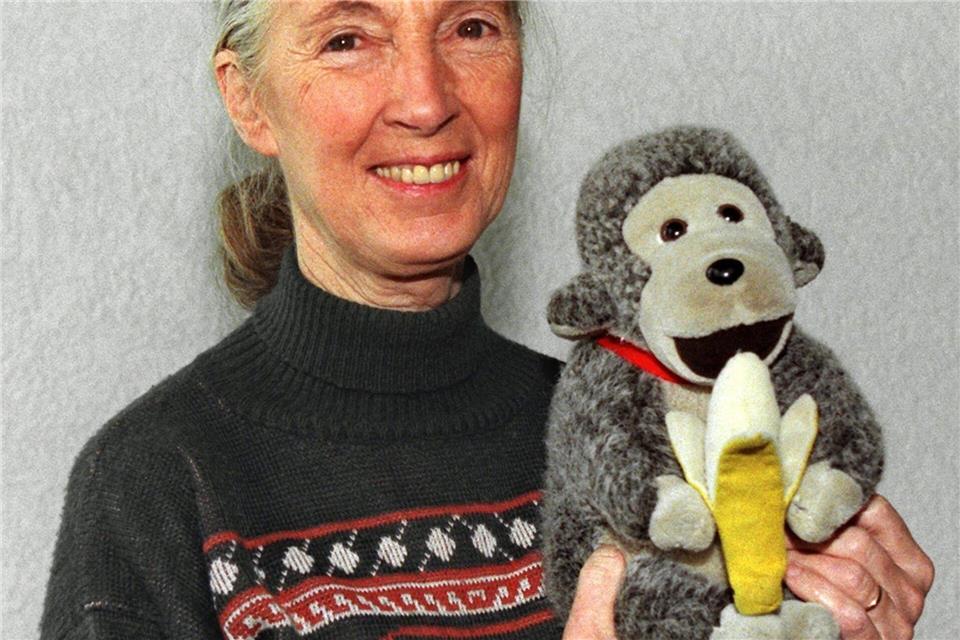 Jane Goodall brachte oft einen Affen mit. (Archivbild)Volker Dornberger/dpa