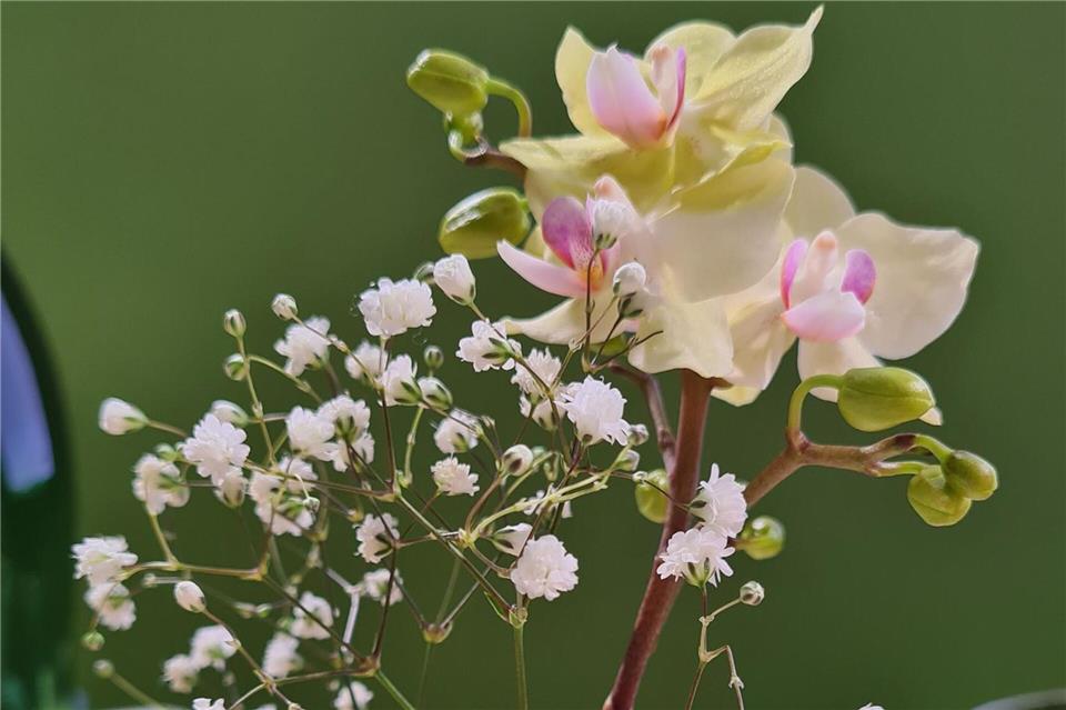 Inspiration für Ostern: Mit Blüten den Frühling begrüßen Japanische Blumenarrangements sind weiter angesagt: Die Vase von H Concept war bei der Trendshow des Designbüro Bora.Herke.Palmisano auf der Ambiente 2025 zu sehen.Isabelle Modler/dpa-tmn