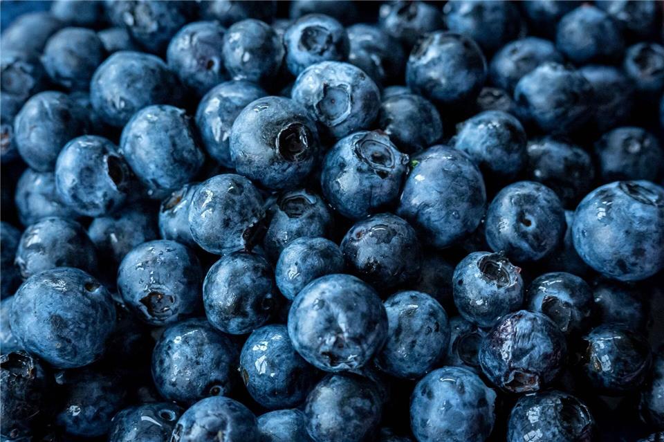 Jede zweite Probe fake: Laut Bundesamt für Verbraucherschutz waren viele der als Waldheidelbeeren verkauften Produkte tatsächlich keine echten Wildheidelbeeren, sondern günstigere Ersatzsorten. Und auch in anderer Form ist die Beere oft nicht echt.Sina Schuldt/dpa/dpa-tmn