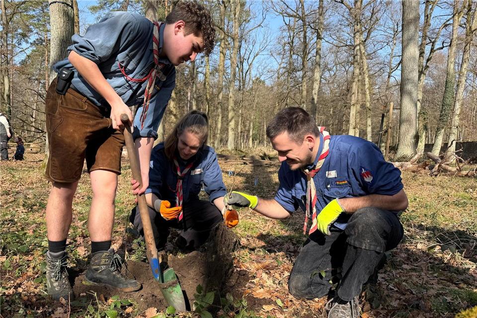 Jeden Tag eine gute Tat: Auch eine Pfadfindergruppe beteiligt sich an der Pflanzaktion. Bevor die Kinder loslegen, probieren die Betreuer aus, wie es richtig geht.Michael Bauer/dpa