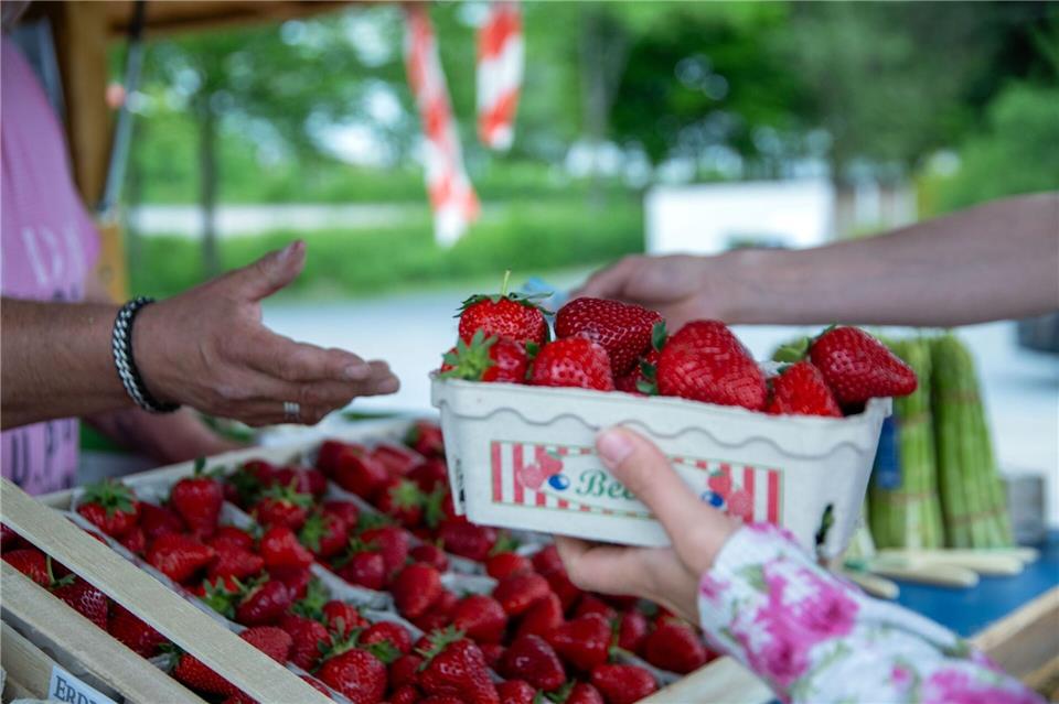 Jeder Deutsche isst im Schnitt 3,3 Kilogramm Erdbeeren im Jahr, sagt das Bundeszentrum für Ernährung. (Archivbild)Pia Bayer/dpa