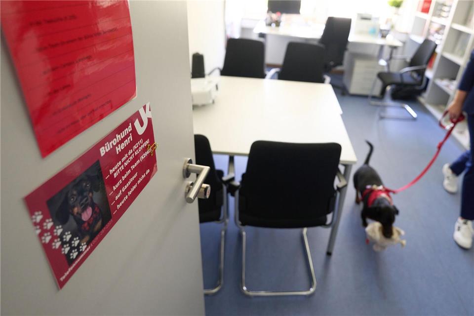 Jeder Hund hat sein eigenes Türschild.Thomas Frey/dpa