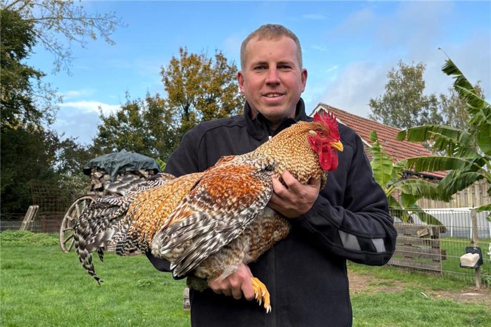 Weseker Geflügelzüchter laden wieder zur Ausstellung ein Jens Haselhoff mit einem Bielefelder Hahn. Er möchte bei der Weseker Geflügelausstellung einige Tiere ausstellen.