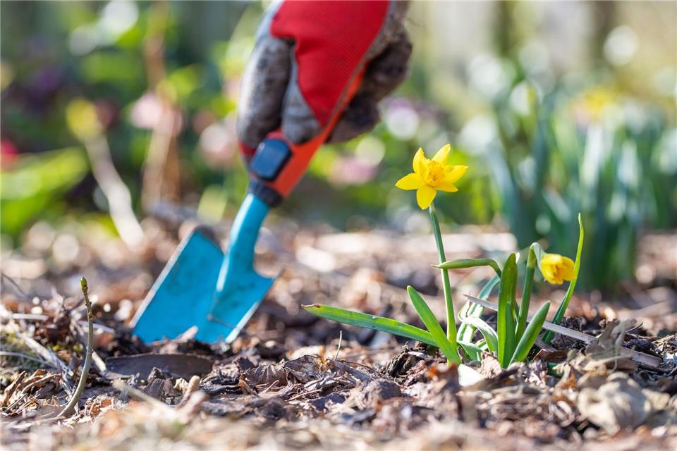Jetzt ist Zeit für Gartenarbeit. (Symbolbild)Lino Mirgeler/dpa