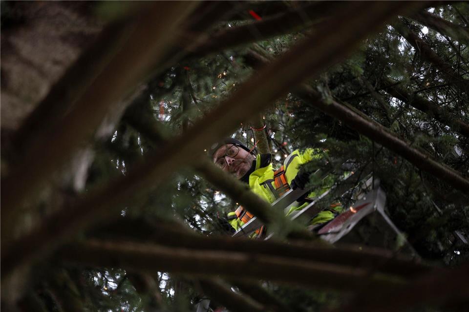 Jörg Renneissen ist zufrieden mit dem diesjährigen Baum: „Der Schönste von allen“.Hannes P. Albert/dpa
