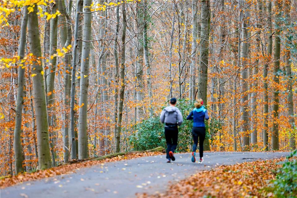 Jogger laufen durch den herbstlich gefärbten Wald in Königswinter. (Archivbild)Thomas Banneyer/dpa