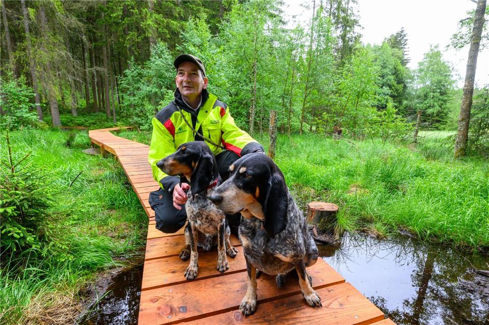 Johannes Riedel, Leiter des Forstbezirks Eibenstock, auf einem Moorpfad in Grünheide. Hendrik Schmidt/dpa
