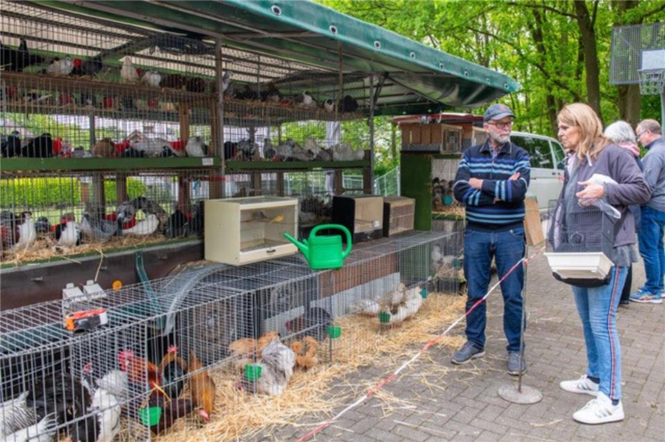 Josef Lehmkuhl aus Emsdetten hatte viele Tiere im Angebot.