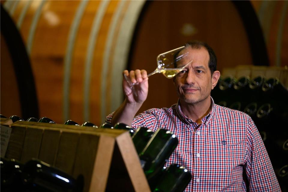 Jürgen Aumüller hat als Kellermeister im sächsischen Staatsweingut Schloss Wackerbarth die Produktion von Wein und Sekt im Blick. Robert Michael/dpa