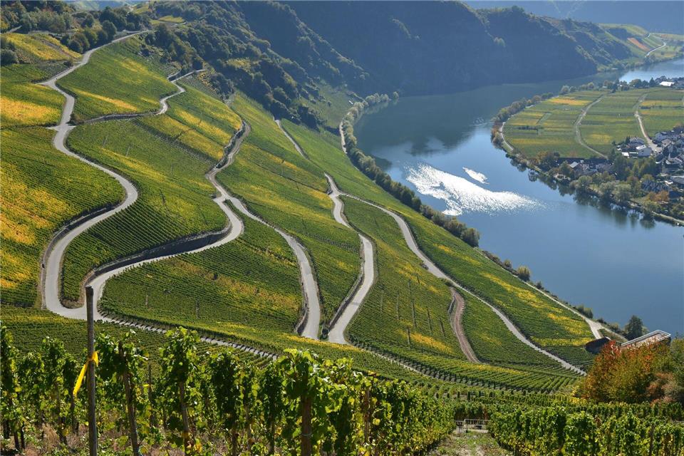 Junge Menschen aus Weinbauregionen haben eine andere Einstellung zur Weinkultur. (Symbolbild)Harald Tittel/dpa
