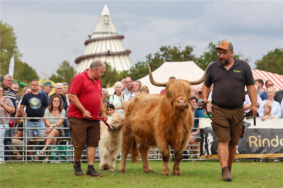 Jungzüchter präsentieren am Stand der Landesanstalt für Landwirtschaft und Gartenbau dem Publikum ihre Galloway-Rinder.Peter Gercke/dpa