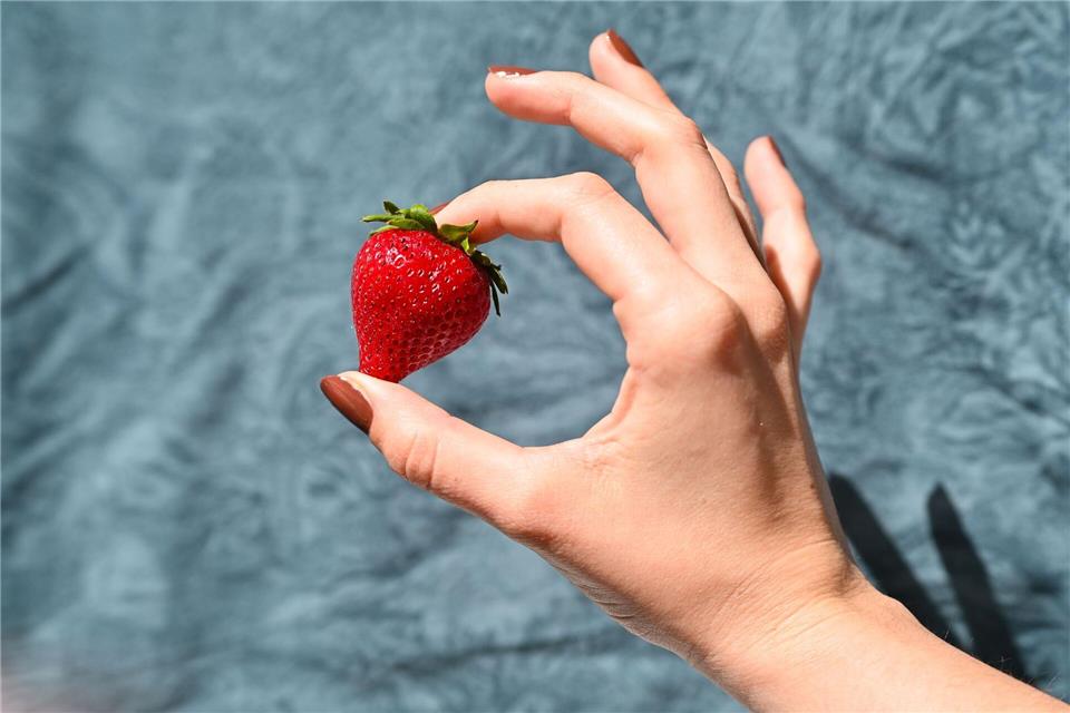 KI-generierte Fruchtvideos tauchen momentan bei Social Media auf. (Symbolbild)Katharina Kausche/dpa