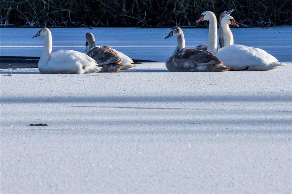 Kalt geht das Jahr 2025 zu Ende.Jens Büttner/dpa