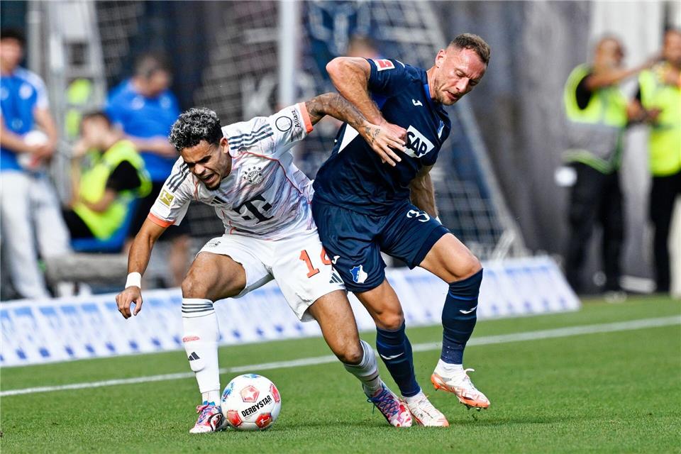 Kampf um den Ball: Diaz wird von Coufal bearbeitet.Uwe Anspach/dpa