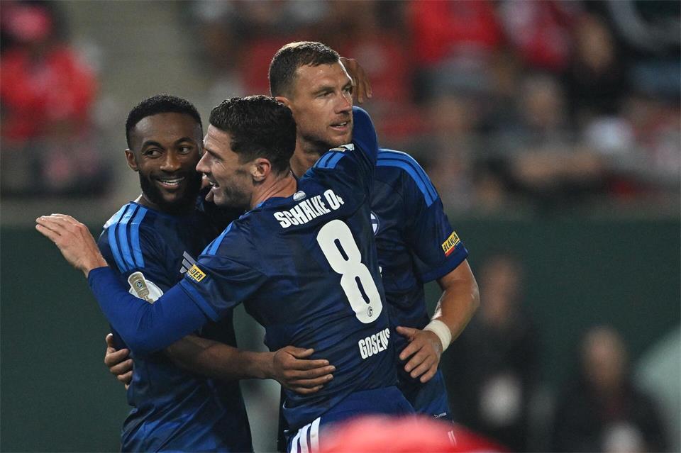 Kann Edin Dzeko (r) Schalke zum Klassenerhalt verhelfen?Hendrik Schmidt/dpa