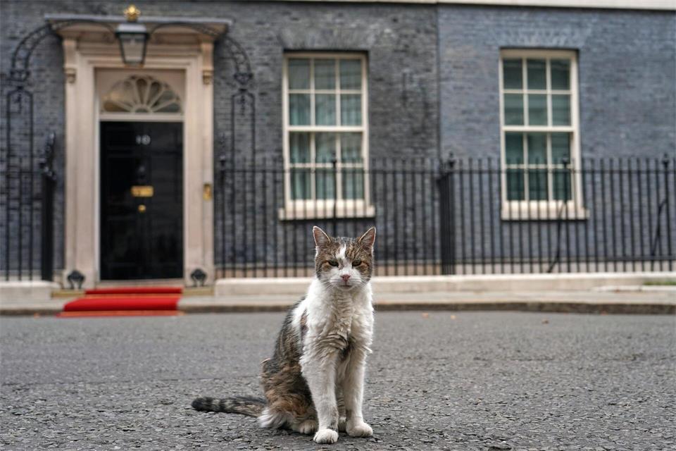 Kater Larry stiehlt Staatsgästen gerne mal die Schau. (Archivbild)Alberto Pezzali/AP/dpa