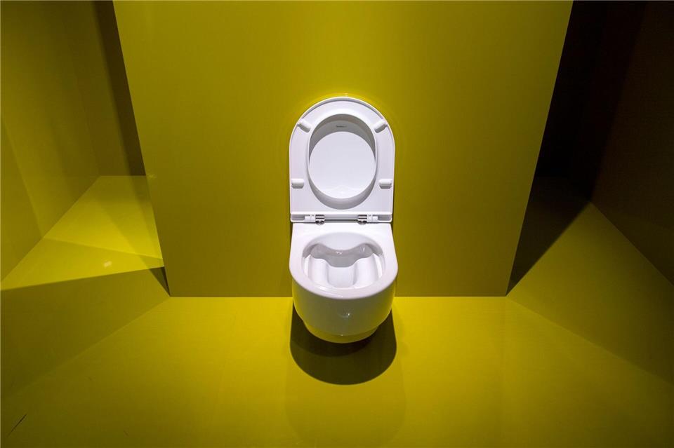 Kein Grund zur Panik: Schäumender Urin kann harmlos sein – oft sind Putzmittelrückstände in der Toilette die Ursache.Andrea Warnecke/dpa-tmn