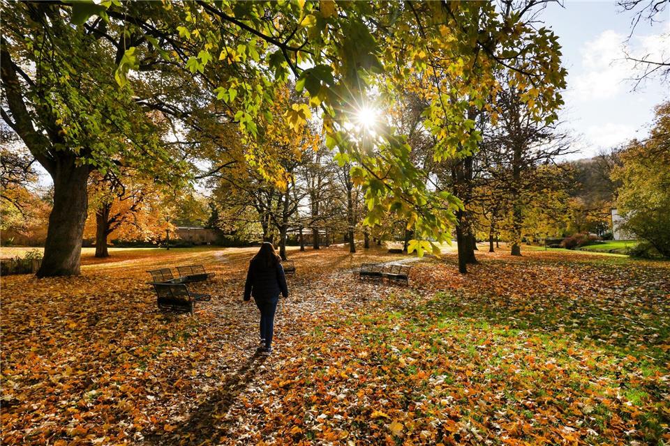 Kein Regenschirm nötig – ein sonniger Tag steht an.Thomas Warnack/dpa