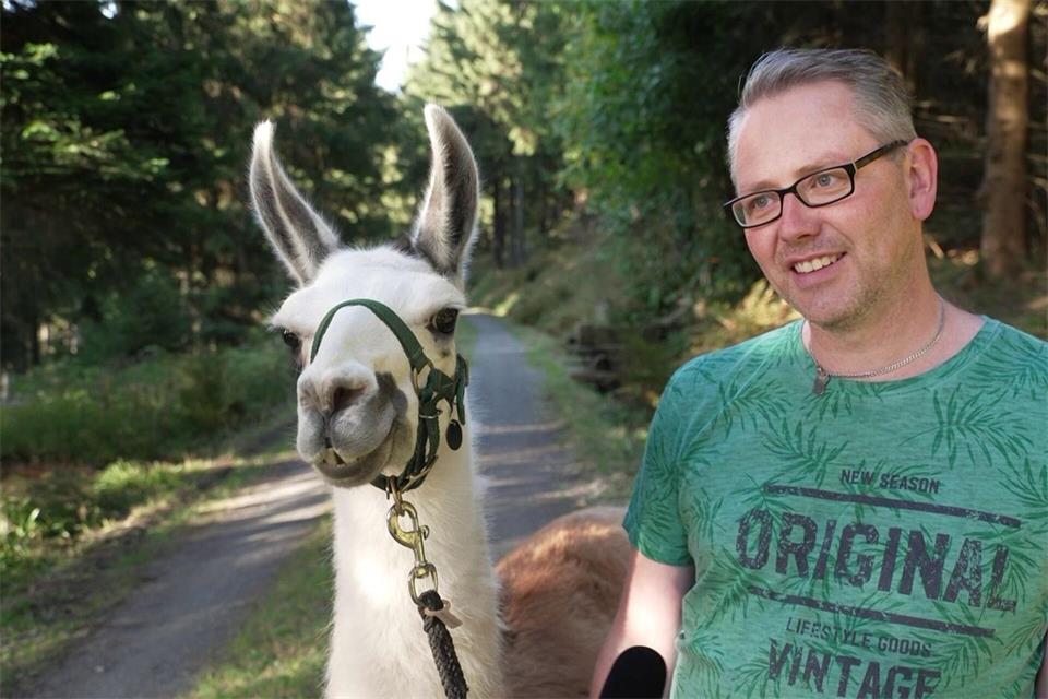 Keks und sein Betreuer Mike Robeck-Jokisch blicken nach der erfolgreichen Einfangaktion des Lamas bei einem Interview in die Kamera. Mike Müller/dpa