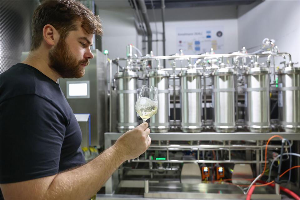 Kilian Scheuring tastet sich an alkoholfreien Wein heran. (Archivbild)Daniel Löb/dpa