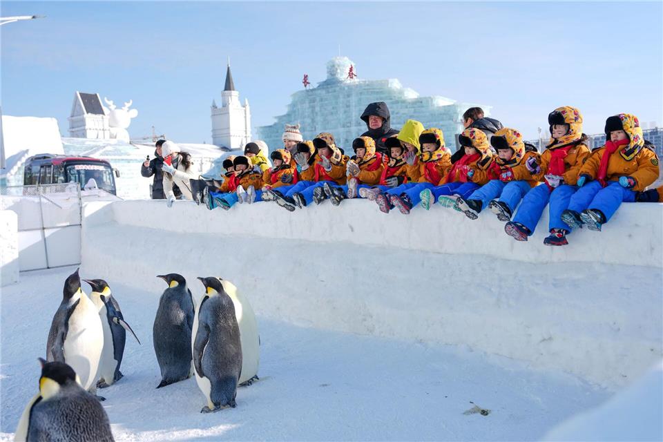 Kinder beobachten Pinguine in der Changchun Ice and Snow New World in Changchun.Yan Linyun/XinHua/dpa