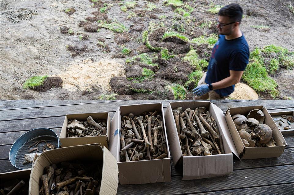 Kistenweise Knochen wurden in dem Garten entdeckt.Moritz Frankenberg/dpa