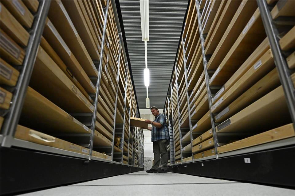 Kistenweise stapeln sich die Stücke in der Sammlung. Jennifer Brückner/dpa