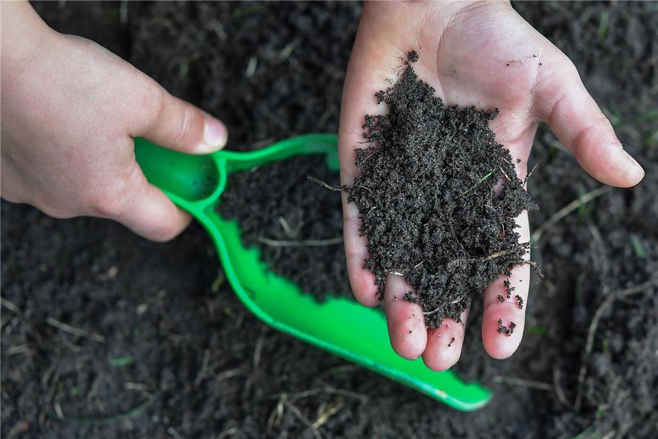 Klebrig? Formbar? Haftend? Die Fingerprobe kann Hinweise auf die Bodenart geben.Patrick Pleul/dpa/dpa-tmn