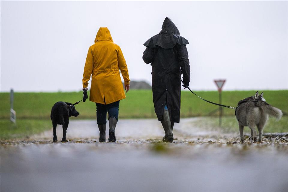 Kleine Gassirunde: Bei stürmischem Wetter sollte man mit dem Hund lieber nur kurz spazieren gehen und Gegenden mit Bäumen meiden.Mohssen Assanimoghaddam/dpa/dpa-tmn