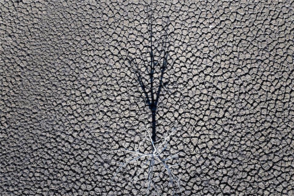 Klimazertifikate aus Drittländern könnten künftig mit EU-Emissionen verrechnet werden. (Symbolbild)Emilio Morenatti/AP/dpa