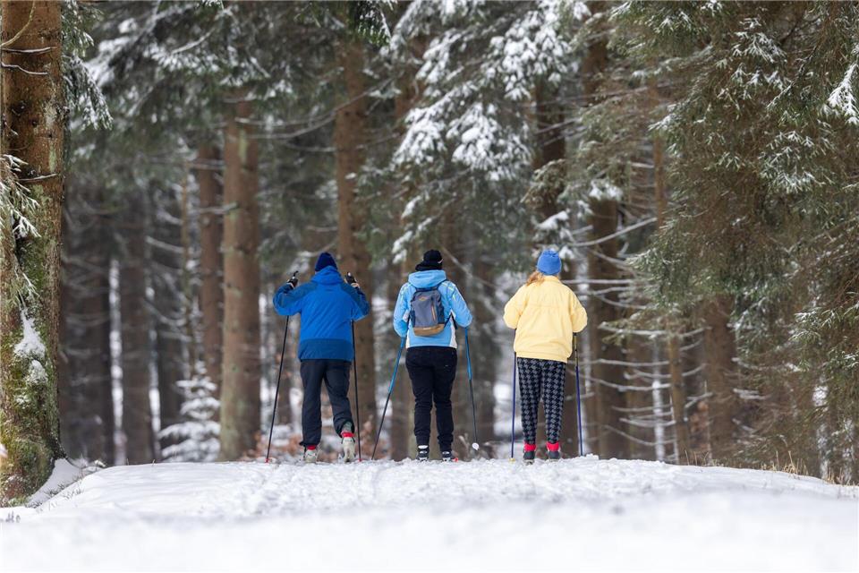 Knapp 50 Kilometer Langlaufstrecken sind im Thüringer Wald präpariert. (Archivbild)Michael Reichel/dpa