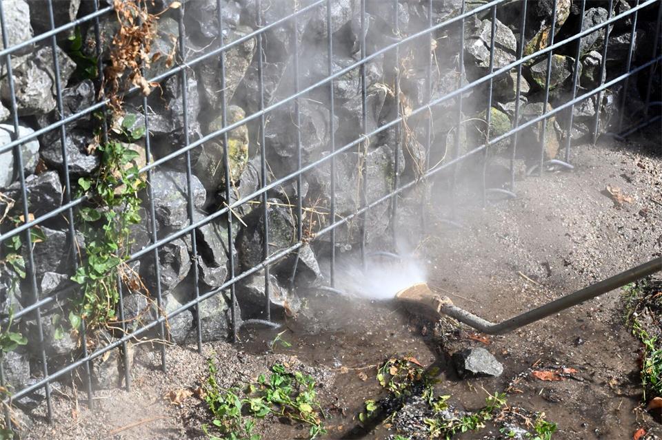 Kochend heißes Wasser wird zur Bekämpfung eingesetzt.Uli Deck/dpa