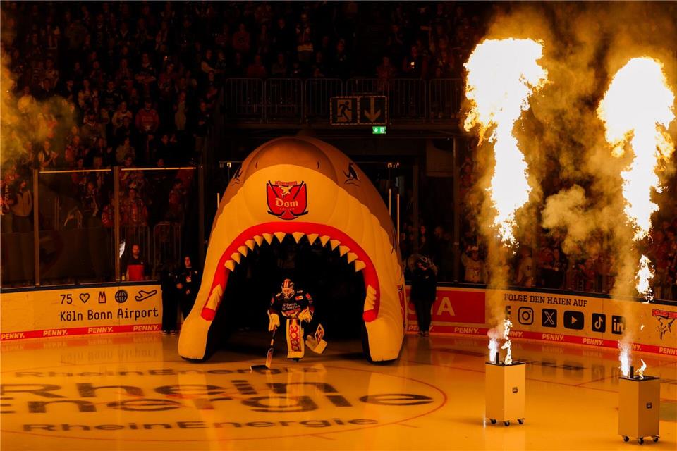 Kölns Torwart Felix Brückmann fährt auf das Eis der Lanxess Arena- Rolf Vennenbernd/dpa