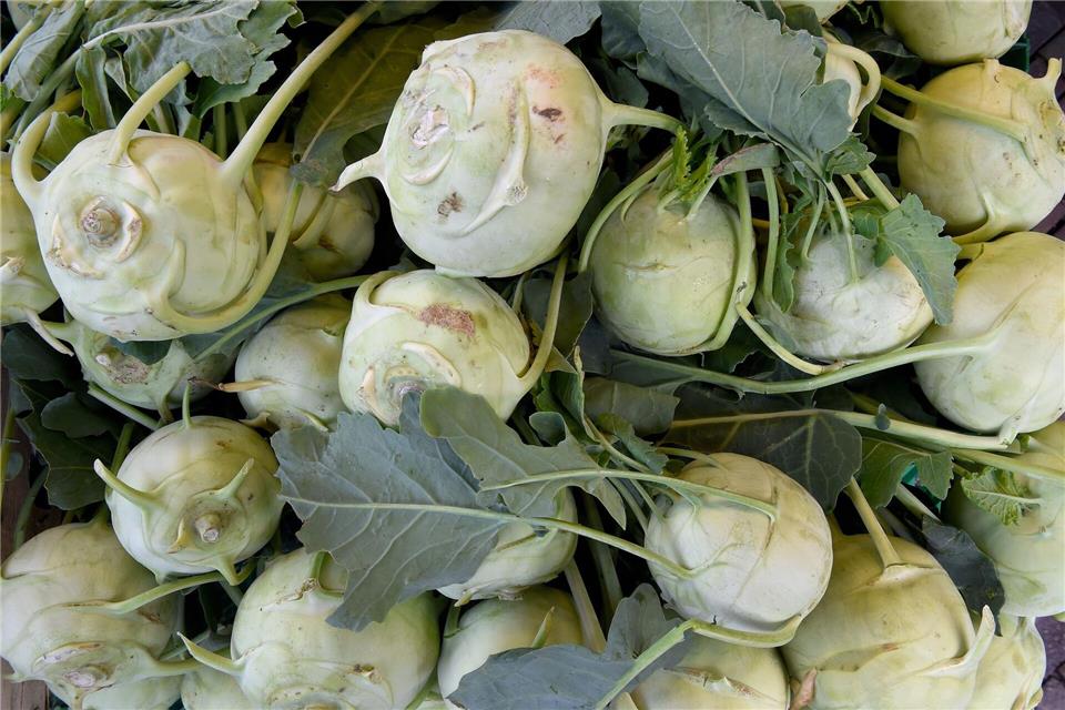 Kohlrabi & Co. mit Stumpf und Stiel aufessen: Nicht immer die beste Idee.Holger Hollemann/dpa/dpa-tmn