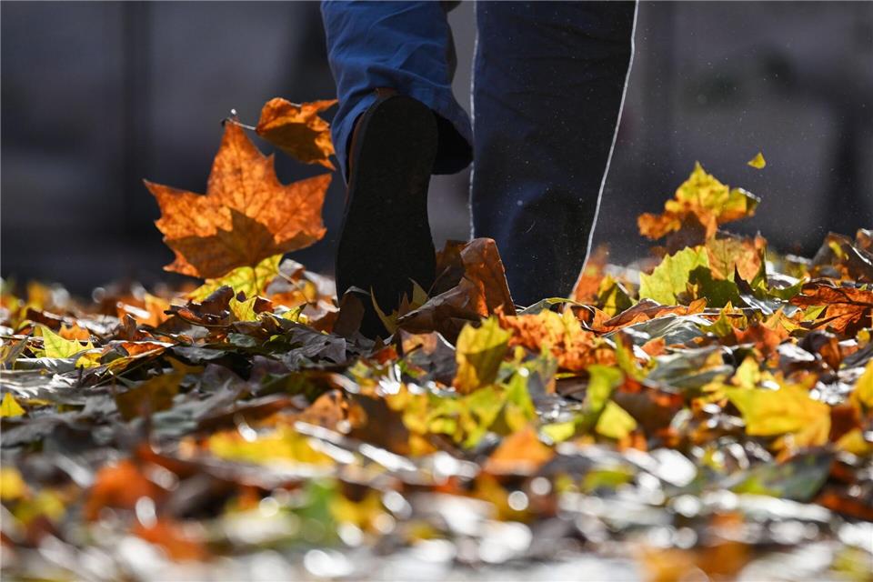Kommende Woche erwartet der Deutsche Wetterdienst bis zu elf Grad und wieder mehr Sonne in Rheinland-Pfalz und im Saarland. (Symbolbild)Arne Dedert/dpa