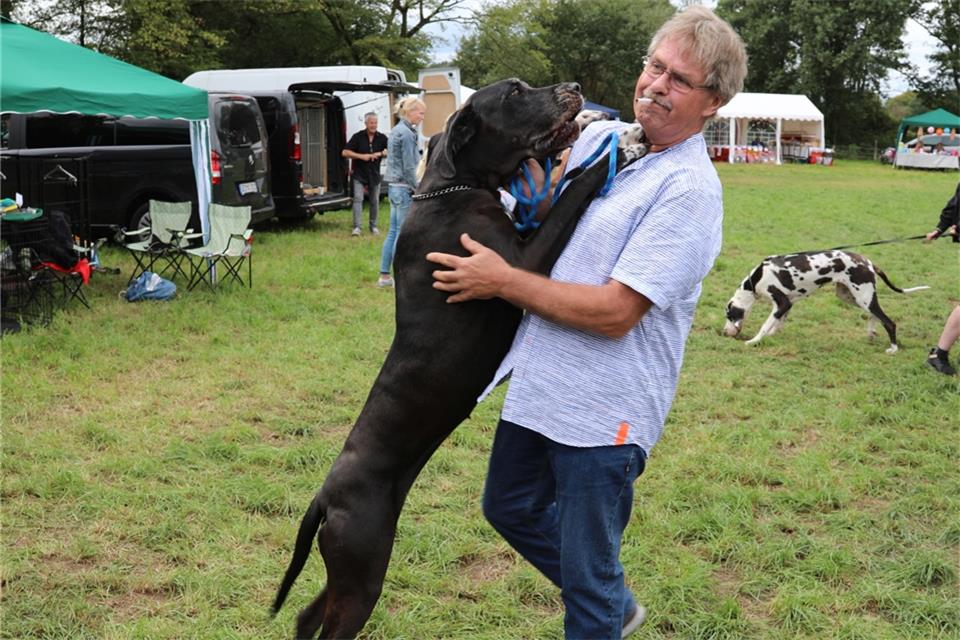 Kontakt fast auf Augenhöhe: Bei Doggen ist alles XXL.