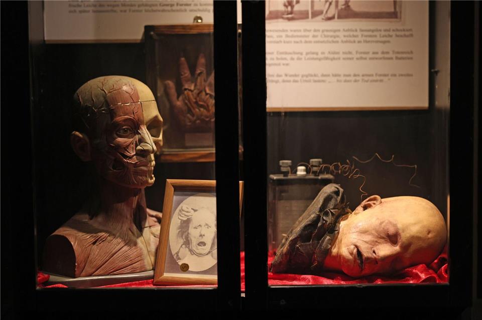 Kopf-Modelle liegen in einer Vitrine im Museum Obscurum.Matthias Bein/dpa