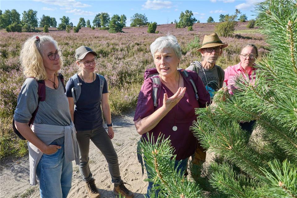 Kräuterfachwirtin Marion Putensen (M) in der Lüneburger Heide. Georg Wendt/dpa