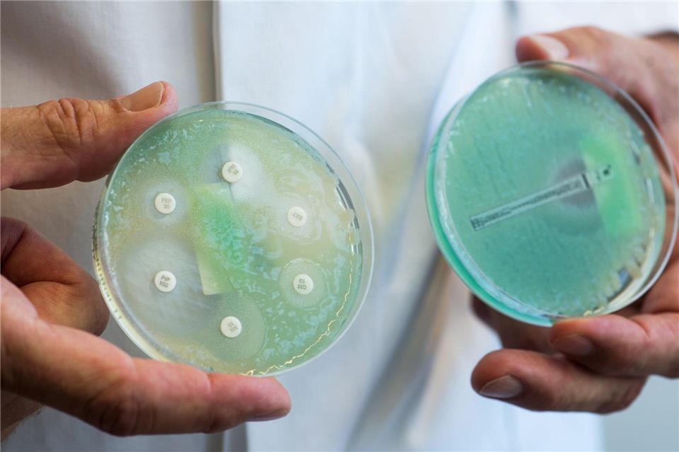 Krankenhauskeime ziehen sich Patienten während ihres Aufenthalts in einer medizinischen Einrichtung  oder bei einer ambulanten Behandlung zu. (Archivbild)Armin Weigel/dpa