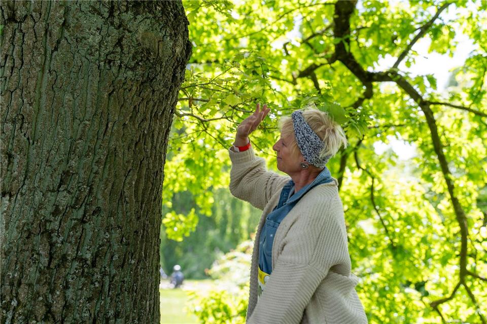 Kreativität und Innigkeit sind gefragte Aspekte beim Baum-Umarmen. Max Lametz/dpa
