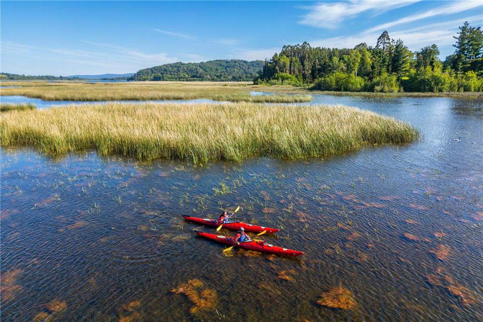 Kreischen, Krächzen, Zwitschern: Unterwegs mit dem Paddelboot im Naturschutzgebiet Carlos Anwandter nahe Valdivia.Oliver Gerhard/dpa-tmn