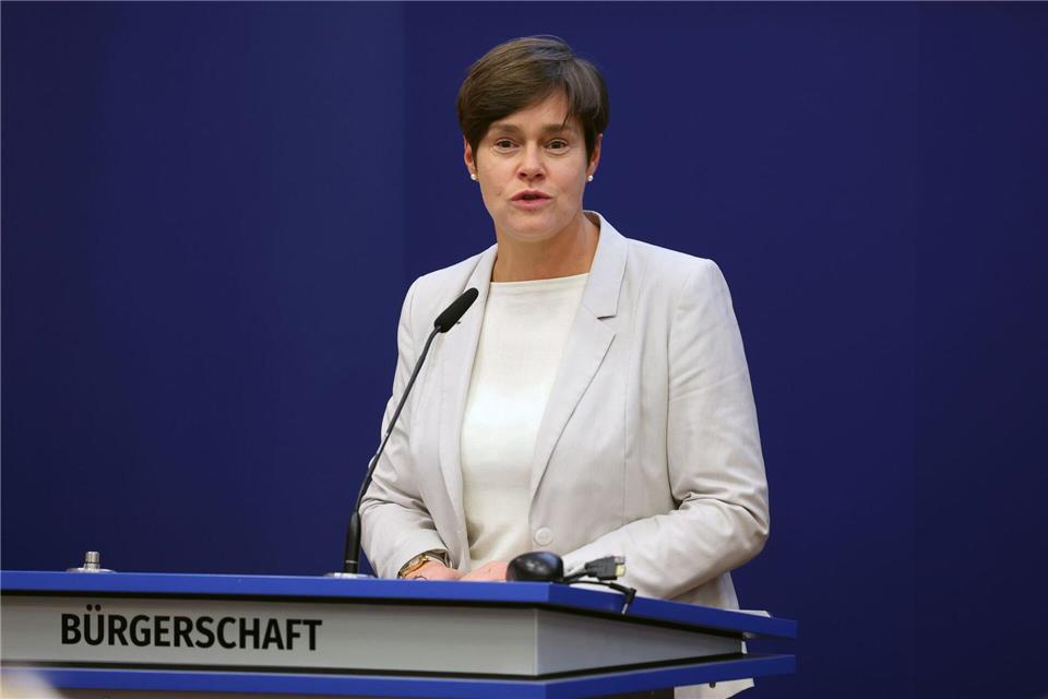 Krögers Kritik: Der Fernwärme-Ausbau werde durch die geplante Gesetzesänderung der Bundesregierung ausgebremst. (Archivbild)Bernd Wüstneck/dpa