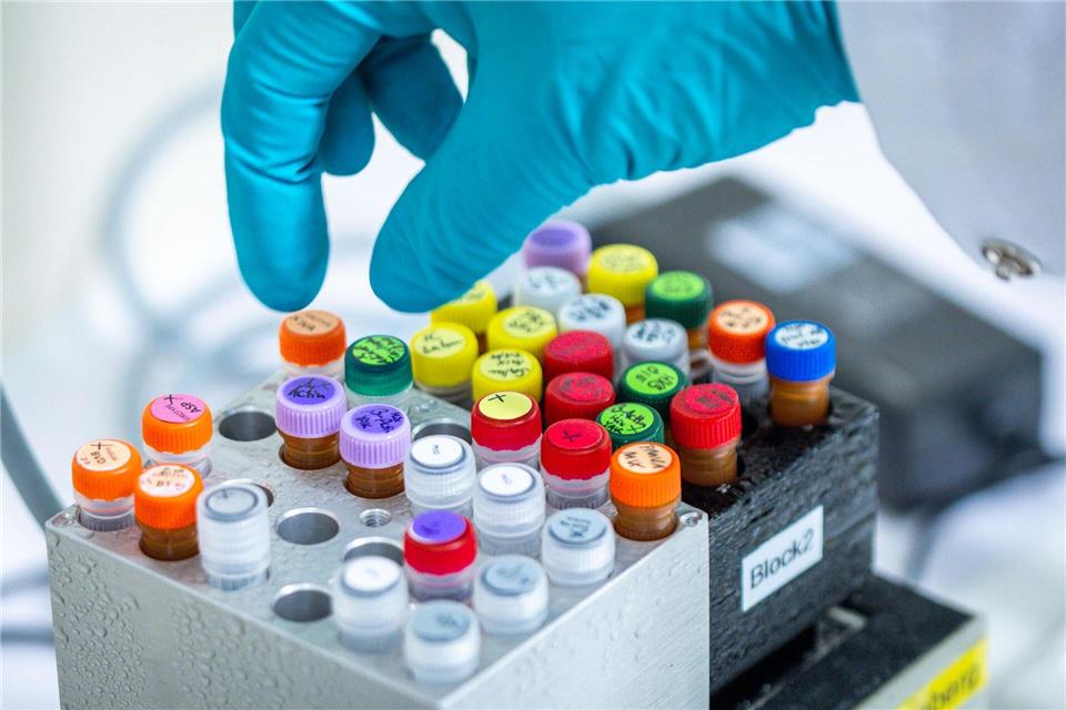 Künftig sollen auch Patente für gentechnisch veränderte Pflanzen möglich sein.Jens Büttner/dpa