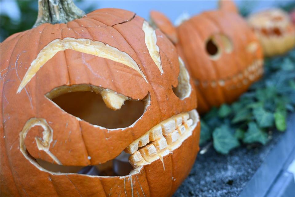 Kürbisschnitzen ist bei vielen Halloween-Angeboten in Hessen fester Teil des Programms. (Symbolbild)Arne Dedert/dpa