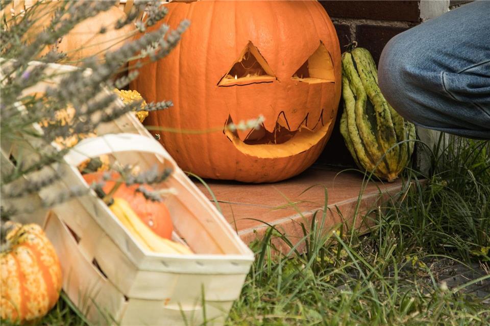 Kürbisse sind Klassiker für die alljährliche Halloween-Deko.Christin Klose/dpa-tmn