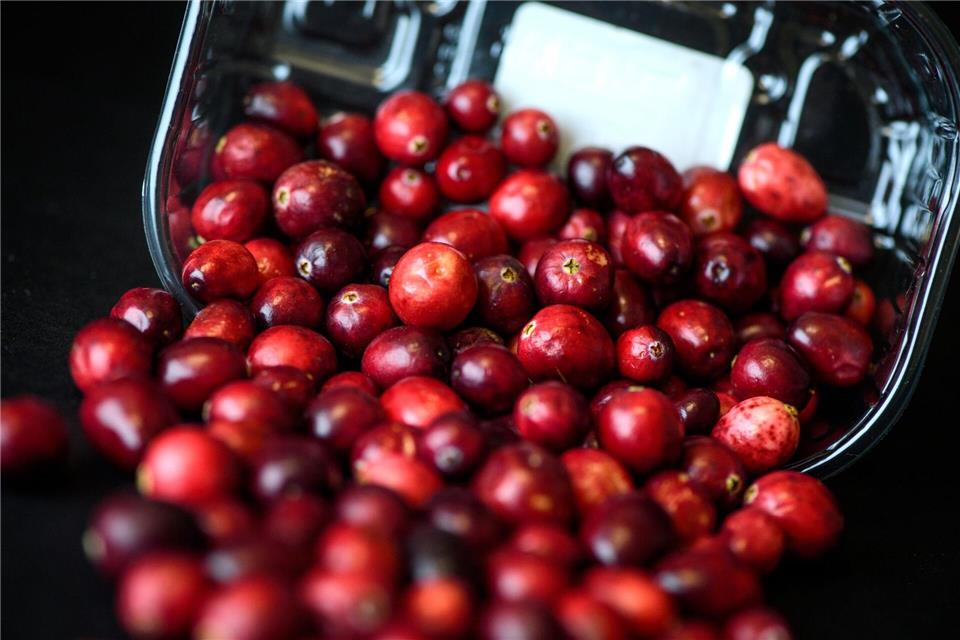 Kugelrund und leuchtend rot: Cranberrys haben aktuell Saison.picture alliance / dpa Themendienst