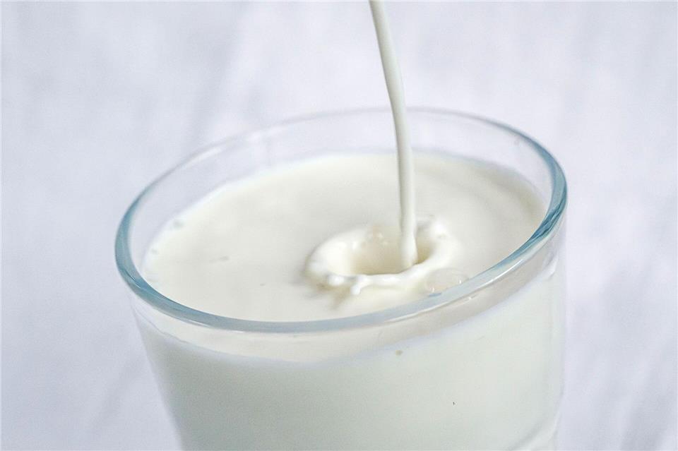 Kuhmilch - von Natur aus voller wichtiger Nährstoffe, aber in der Herstellung nicht unbedingt  gut für sie UmweltSina Schuldt/dpa