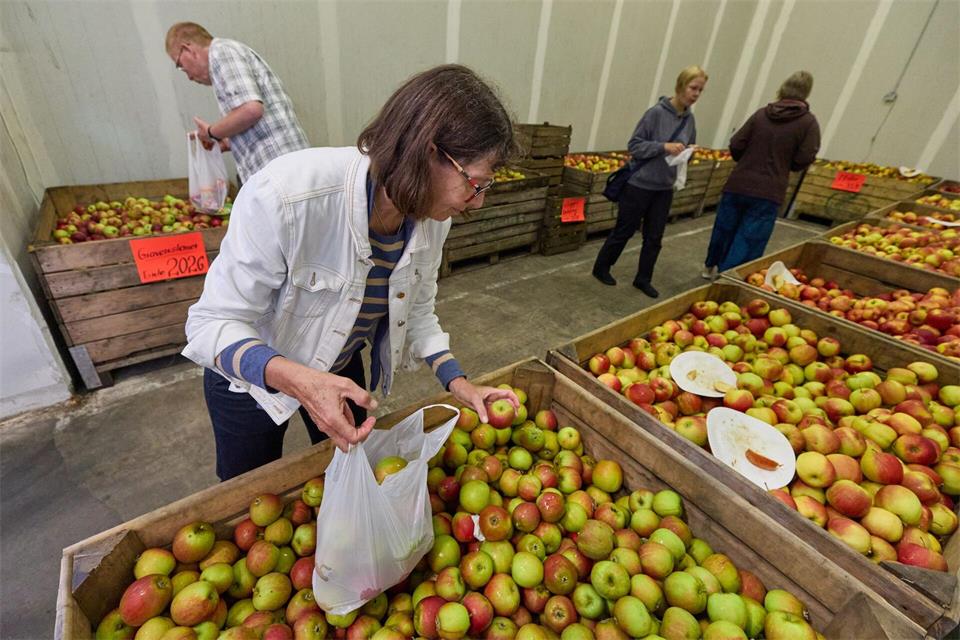 Kunden füllen ihre Tüten im Apfel-Outlet.Georg Wendt/dpa