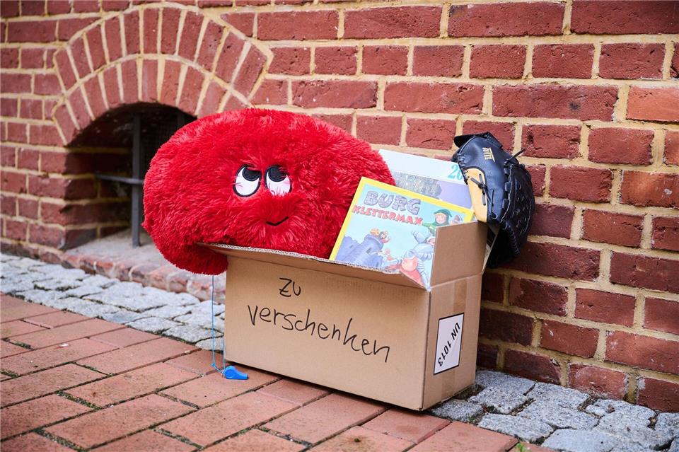Kuscheltiere und Bücher landen gelegentlich in Verschenk-Boxen auf dem Gehweg. (Symbolbild)Annette Riedl/dpa